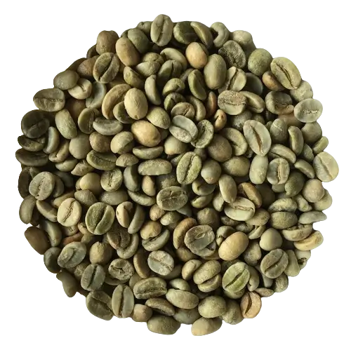 Arabica Coffee Beans